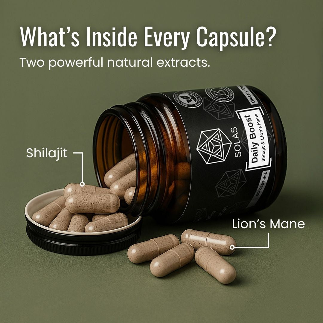 Daily Boost - Shilajit & Lion's Mane