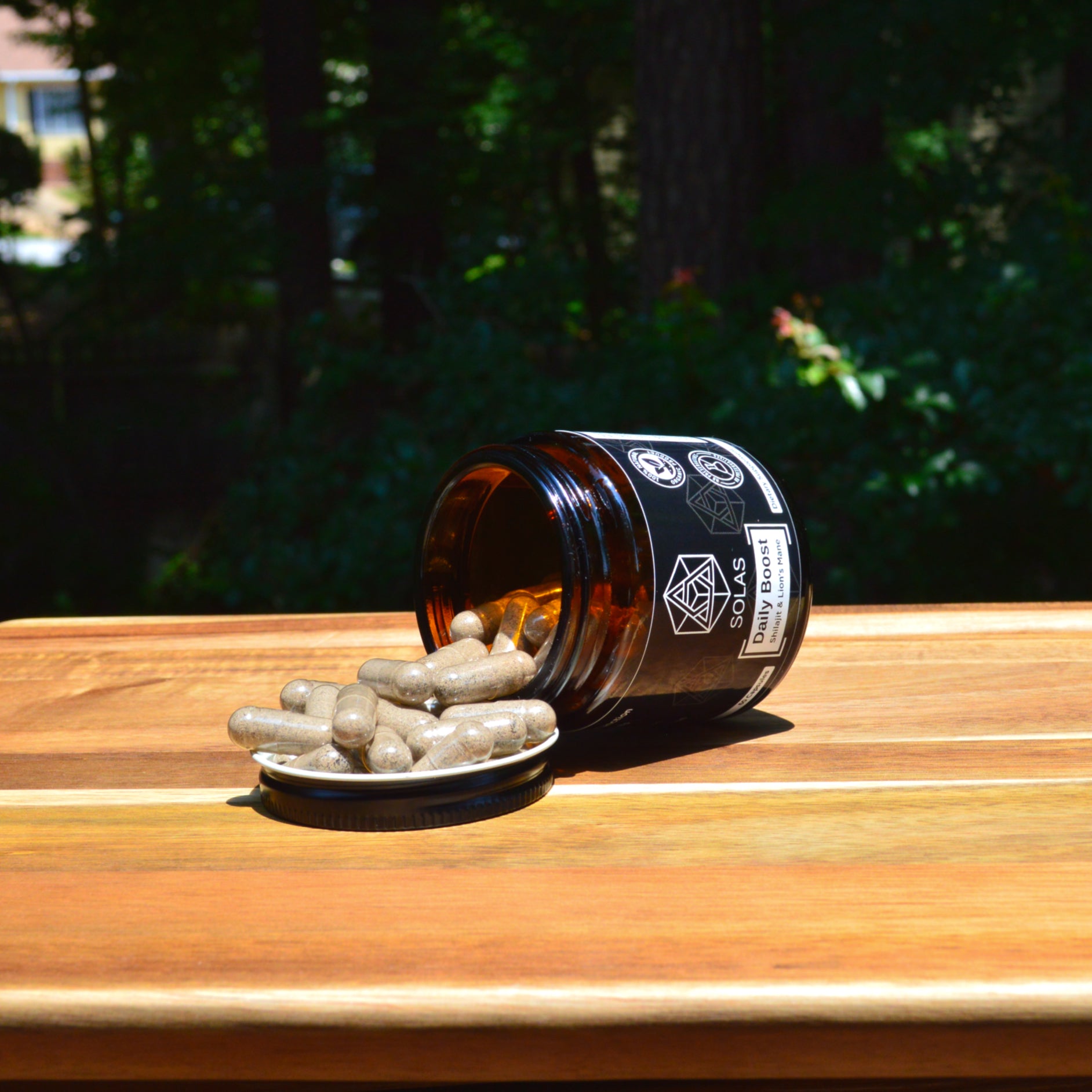 Daily Boost - Shilajit & Lion's Mane image 3