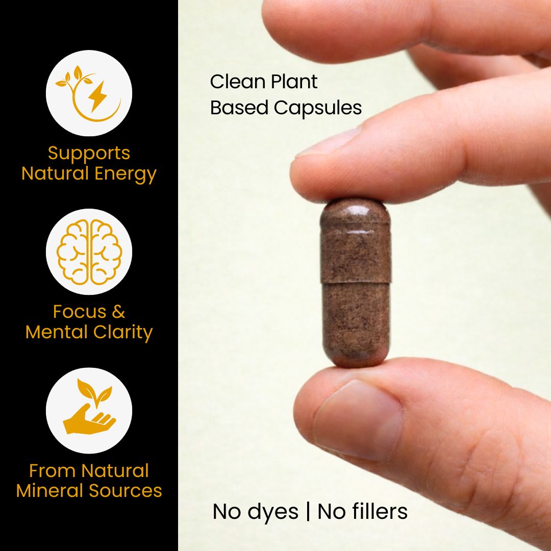 Shilajit Capsules